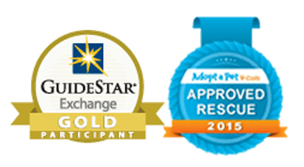 Gold-Star-and-Adopt-a-Pet-Certified