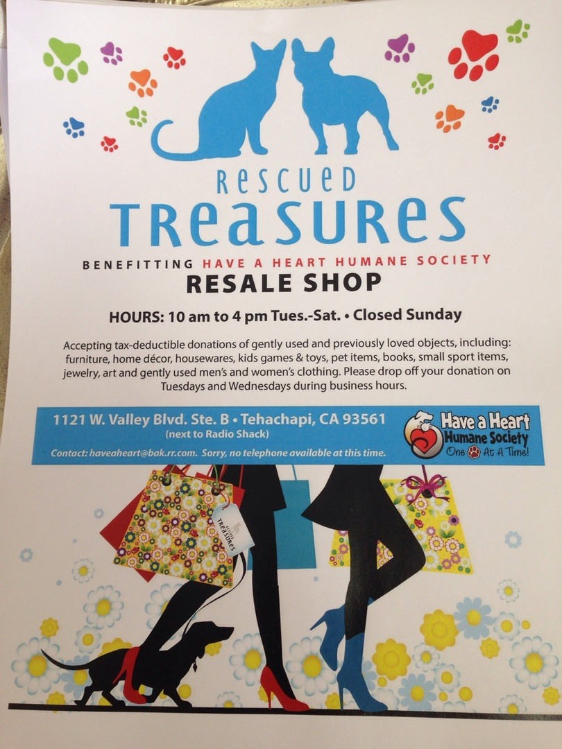 Rescued Treasures Flyer